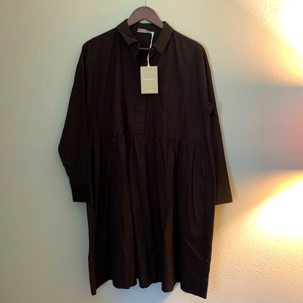 Everlane Shirt Dress